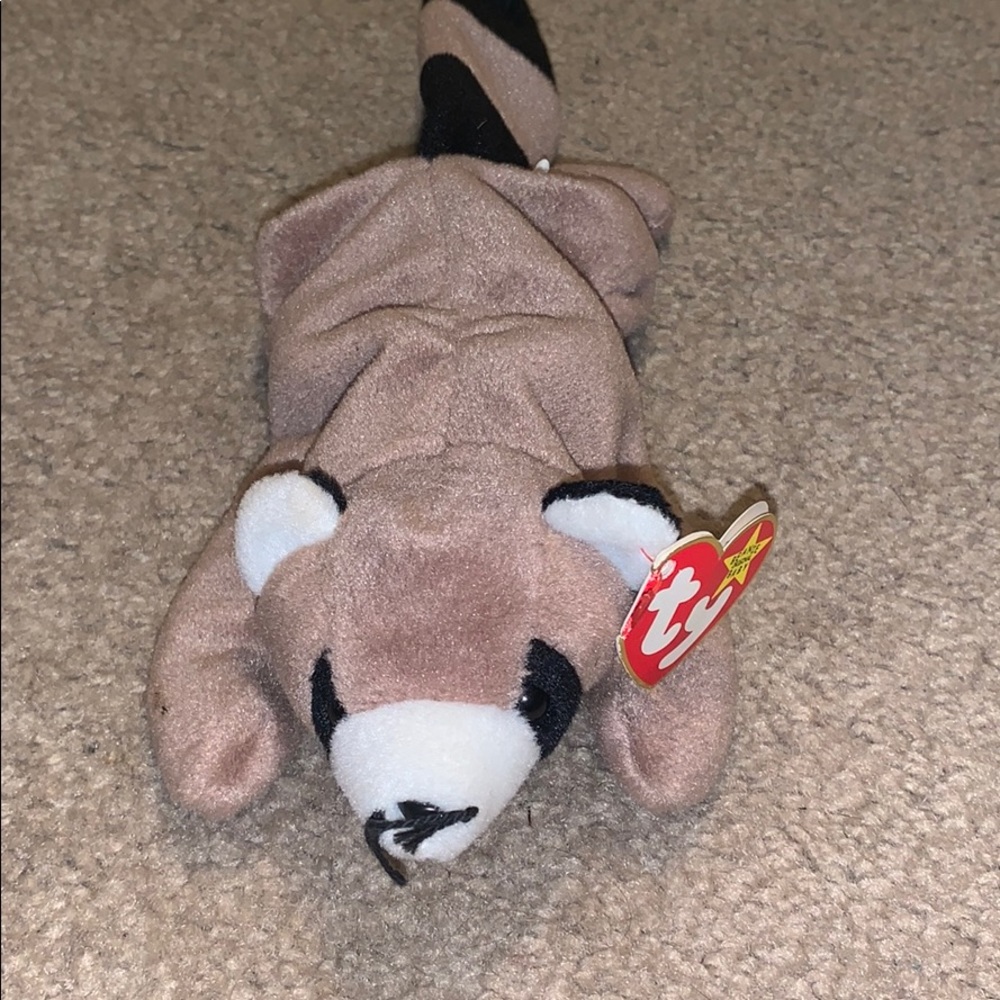Ringo the raccoon